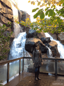 Me, standing in front of the waterfall at Waterfall Garden Park in Pioneer Square on a sunny fall day.