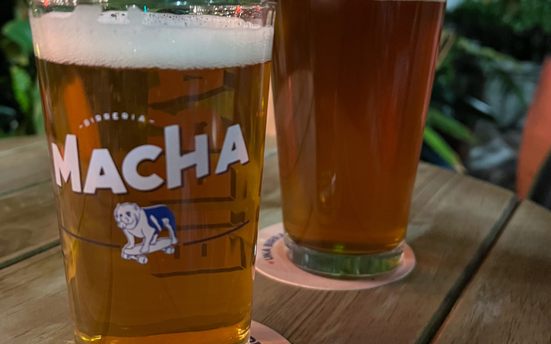 2 pints of beer from Macha, one of the breweries you have to try in Bogotá.